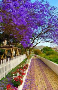 destination management company in saudi arabia - dmc Saudi Arabia adha 193x300