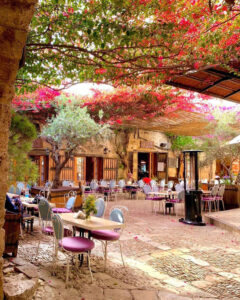 dmc in lebanon Lebanon byblos 240x300